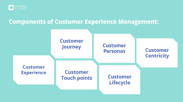 What is Customer Experience Management? Components of CEM