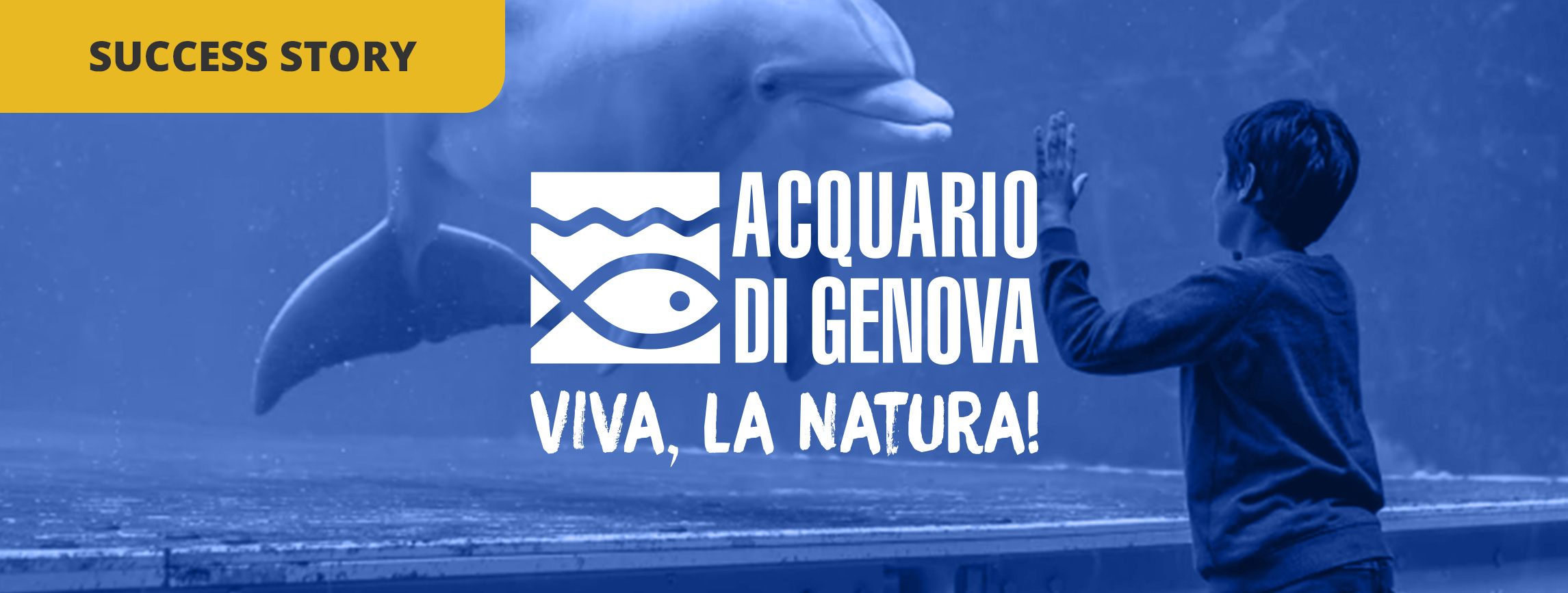Wie das Acquario di Genova zu einem der zehn besten Aquarien...