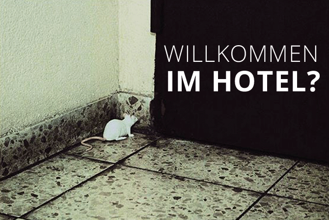 Der erste Eindruck ist der wichtigste!